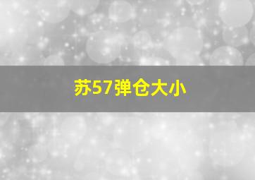 苏57弹仓大小