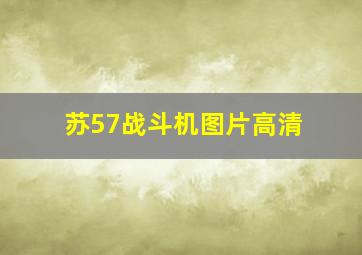 苏57战斗机图片高清