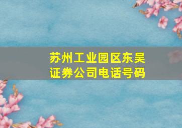 苏州工业园区东吴证券公司电话号码