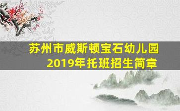 苏州市威斯顿宝石幼儿园2019年托班招生简章