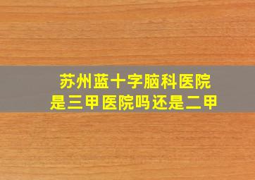 苏州蓝十字脑科医院是三甲医院吗还是二甲