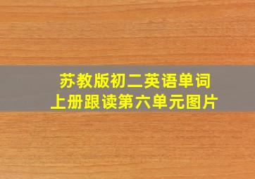 苏教版初二英语单词上册跟读第六单元图片