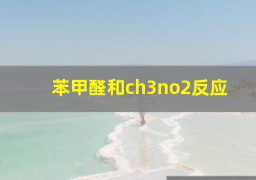 苯甲醛和ch3no2反应