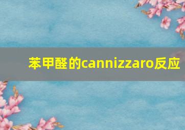 苯甲醛的cannizzaro反应