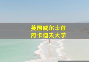 英国威尔士首府卡迪夫大学