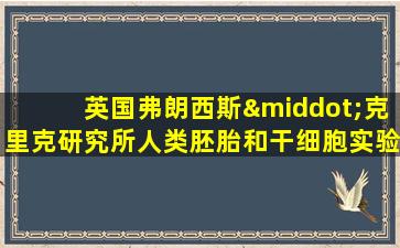 英国弗朗西斯·克里克研究所人类胚胎和干细胞实验室