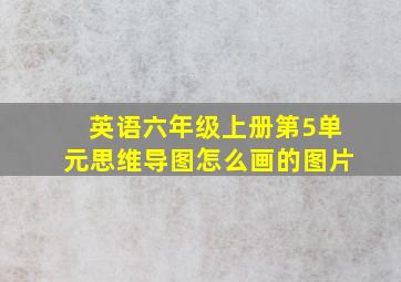 英语六年级上册第5单元思维导图怎么画的图片