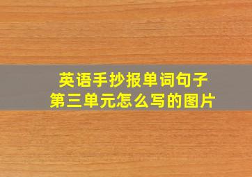 英语手抄报单词句子第三单元怎么写的图片