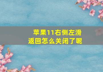 苹果11右侧左滑返回怎么关闭了呢