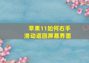 苹果11如何右手滑动返回屏幕界面