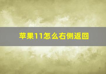 苹果11怎么右侧返回