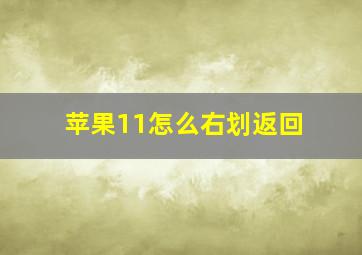 苹果11怎么右划返回