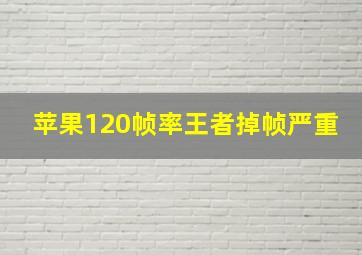 苹果120帧率王者掉帧严重