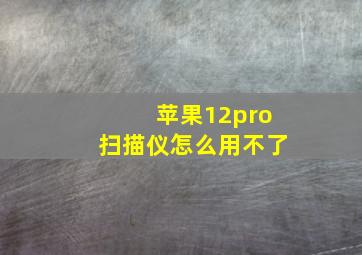 苹果12pro扫描仪怎么用不了