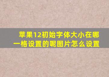 苹果12初始字体大小在哪一格设置的呢图片怎么设置