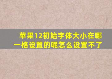 苹果12初始字体大小在哪一格设置的呢怎么设置不了