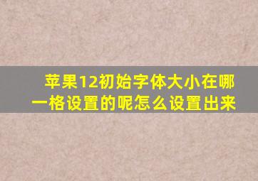 苹果12初始字体大小在哪一格设置的呢怎么设置出来