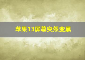 苹果13屏幕突然变黑