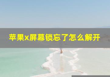 苹果x屏幕锁忘了怎么解开