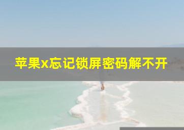 苹果x忘记锁屏密码解不开