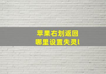 苹果右划返回哪里设置失灵l