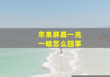 苹果屏幕一亮一暗怎么回事