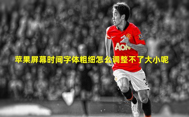 苹果屏幕时间字体粗细怎么调整不了大小呢