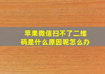 苹果微信扫不了二维码是什么原因呢怎么办