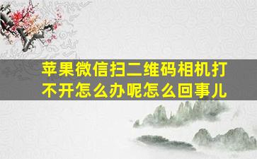 苹果微信扫二维码相机打不开怎么办呢怎么回事儿