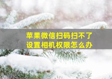 苹果微信扫码扫不了设置相机权限怎么办