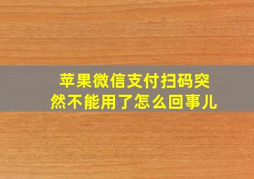 苹果微信支付扫码突然不能用了怎么回事儿