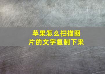 苹果怎么扫描图片的文字复制下来