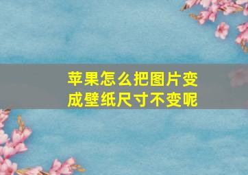 苹果怎么把图片变成壁纸尺寸不变呢