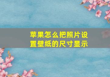 苹果怎么把照片设置壁纸的尺寸显示