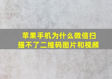 苹果手机为什么微信扫描不了二维码图片和视频