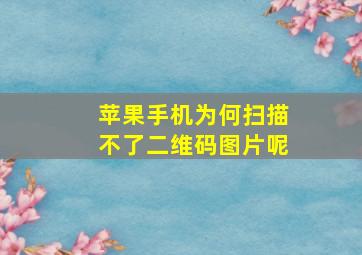 苹果手机为何扫描不了二维码图片呢