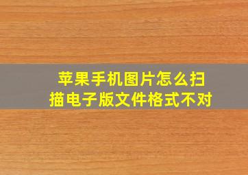 苹果手机图片怎么扫描电子版文件格式不对