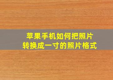 苹果手机如何把照片转换成一寸的照片格式