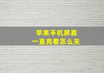 苹果手机屏幕一直亮着怎么关