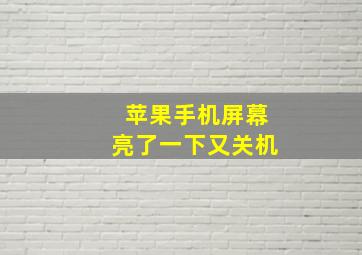 苹果手机屏幕亮了一下又关机