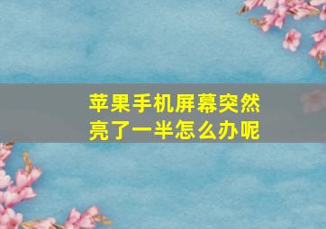 苹果手机屏幕突然亮了一半怎么办呢