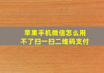 苹果手机微信怎么用不了扫一扫二维码支付