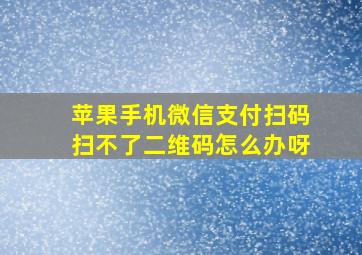 苹果手机微信支付扫码扫不了二维码怎么办呀