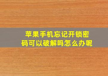 苹果手机忘记开锁密码可以破解吗怎么办呢