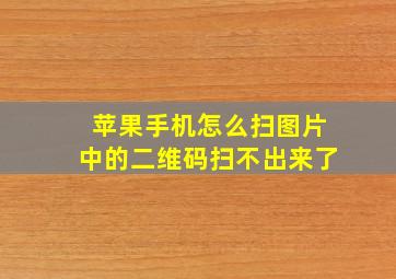 苹果手机怎么扫图片中的二维码扫不出来了