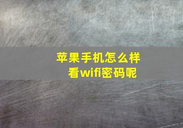 苹果手机怎么样看wifi密码呢