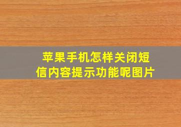 苹果手机怎样关闭短信内容提示功能呢图片