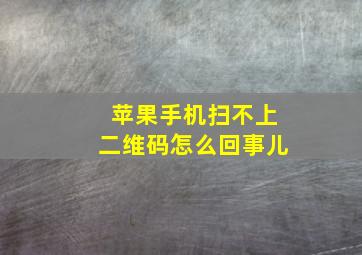 苹果手机扫不上二维码怎么回事儿