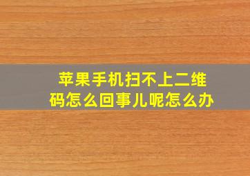 苹果手机扫不上二维码怎么回事儿呢怎么办