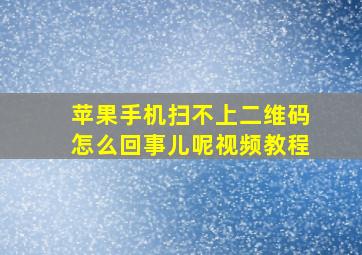 苹果手机扫不上二维码怎么回事儿呢视频教程